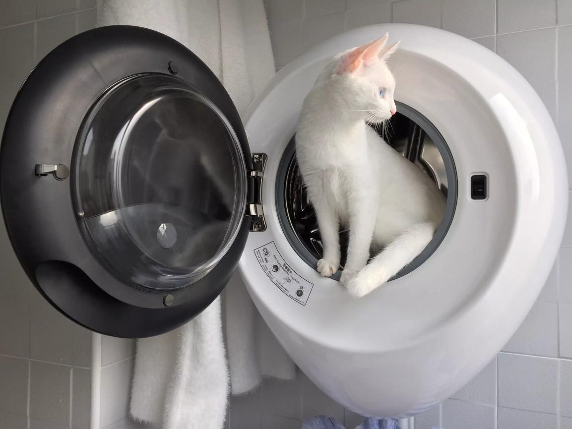 1609296717382520.jpg 壁掛式洗衣機2.jpg