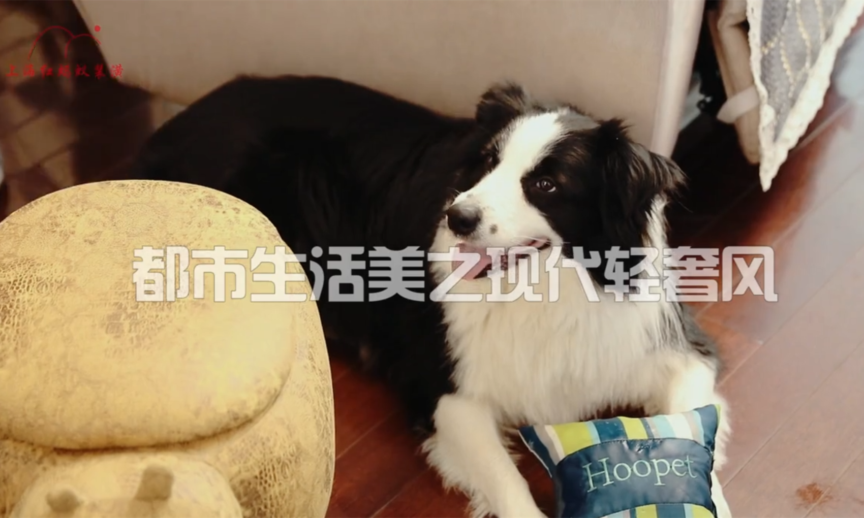 預算有限如何裝出高級感家裝？看完便知原來只需這幾步